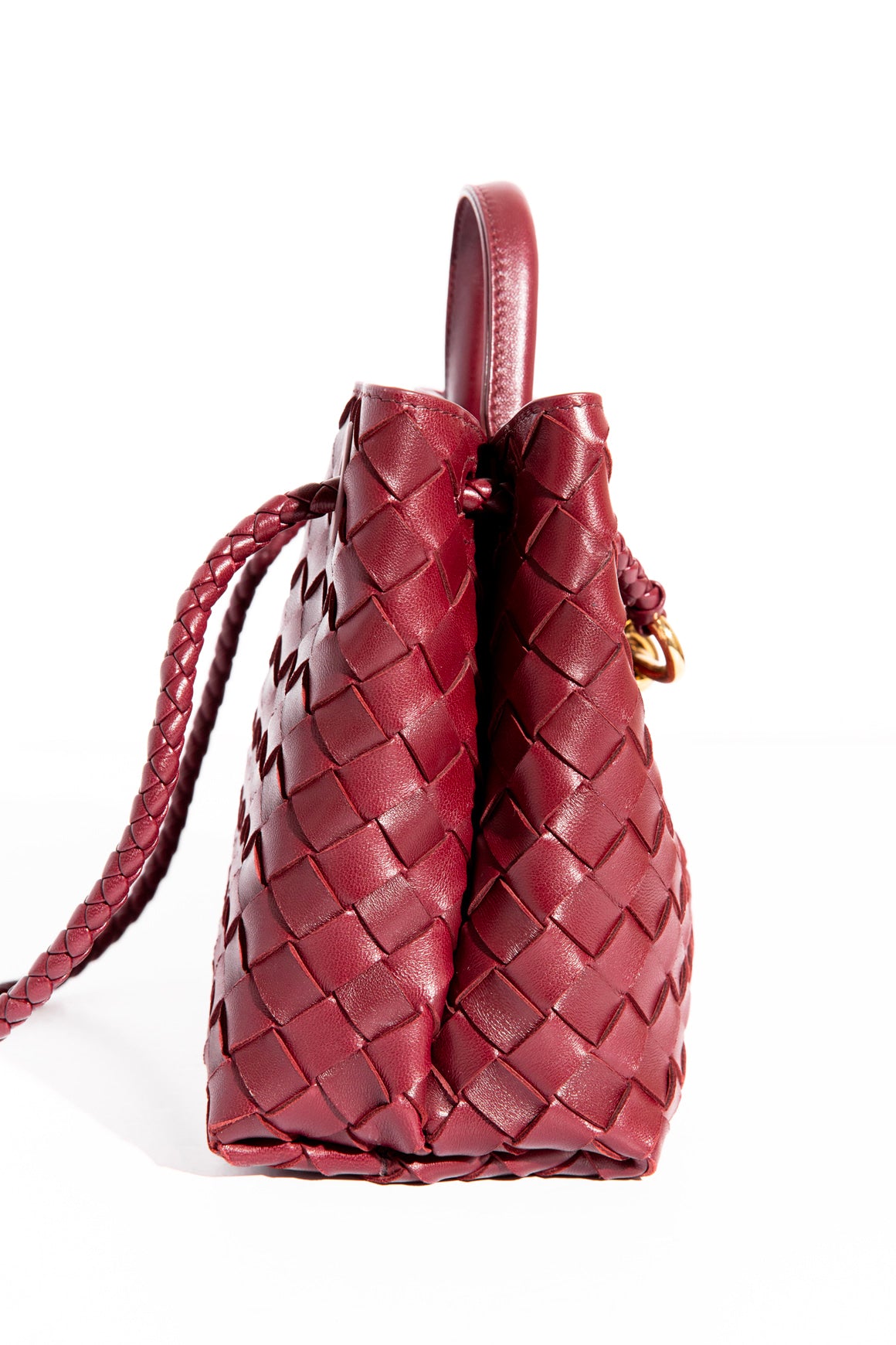 BOTTEGA VENETA Barolo Small Andiamo Bag
