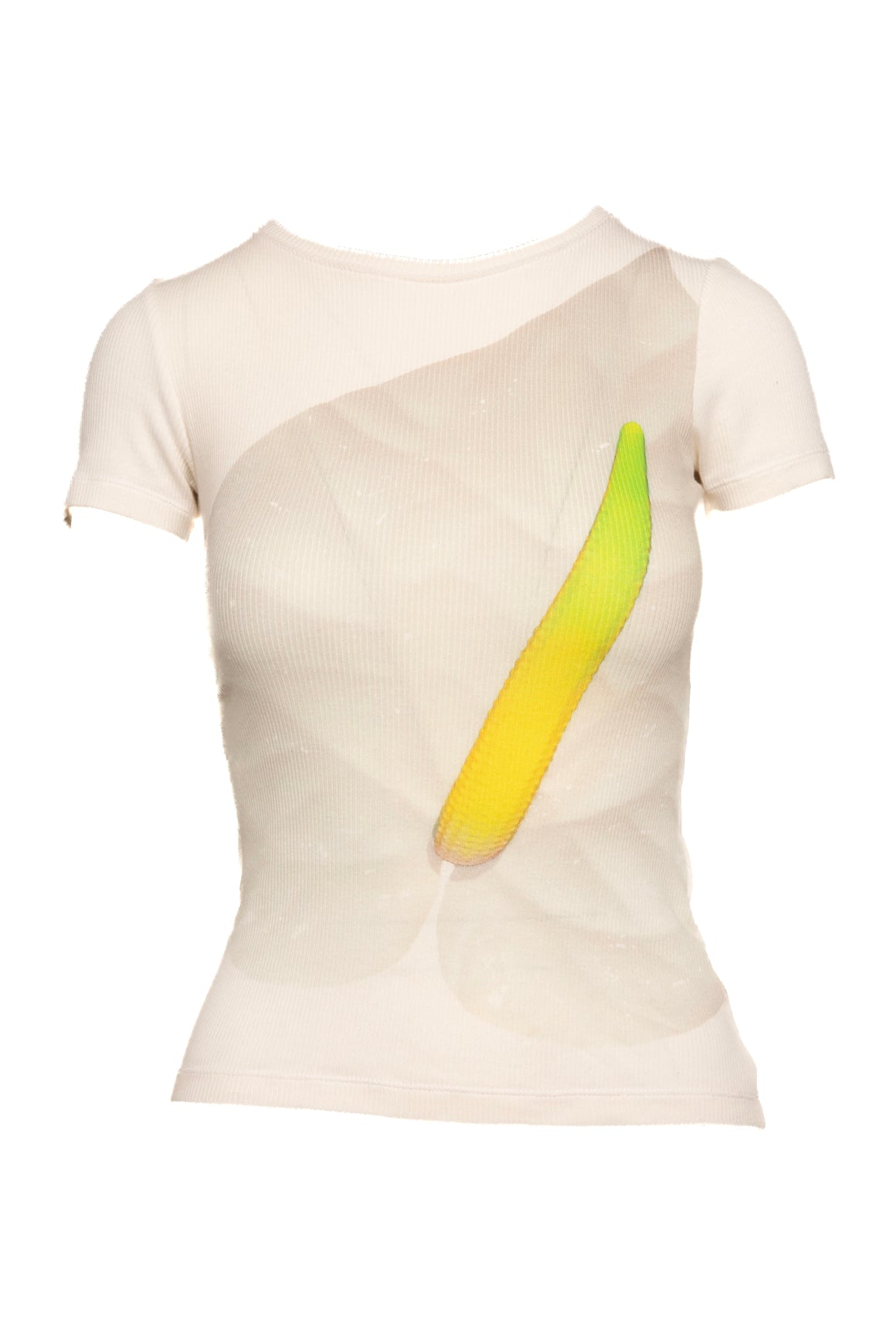 LOEWE Floral Print Tee Shirt (Sz. XS)