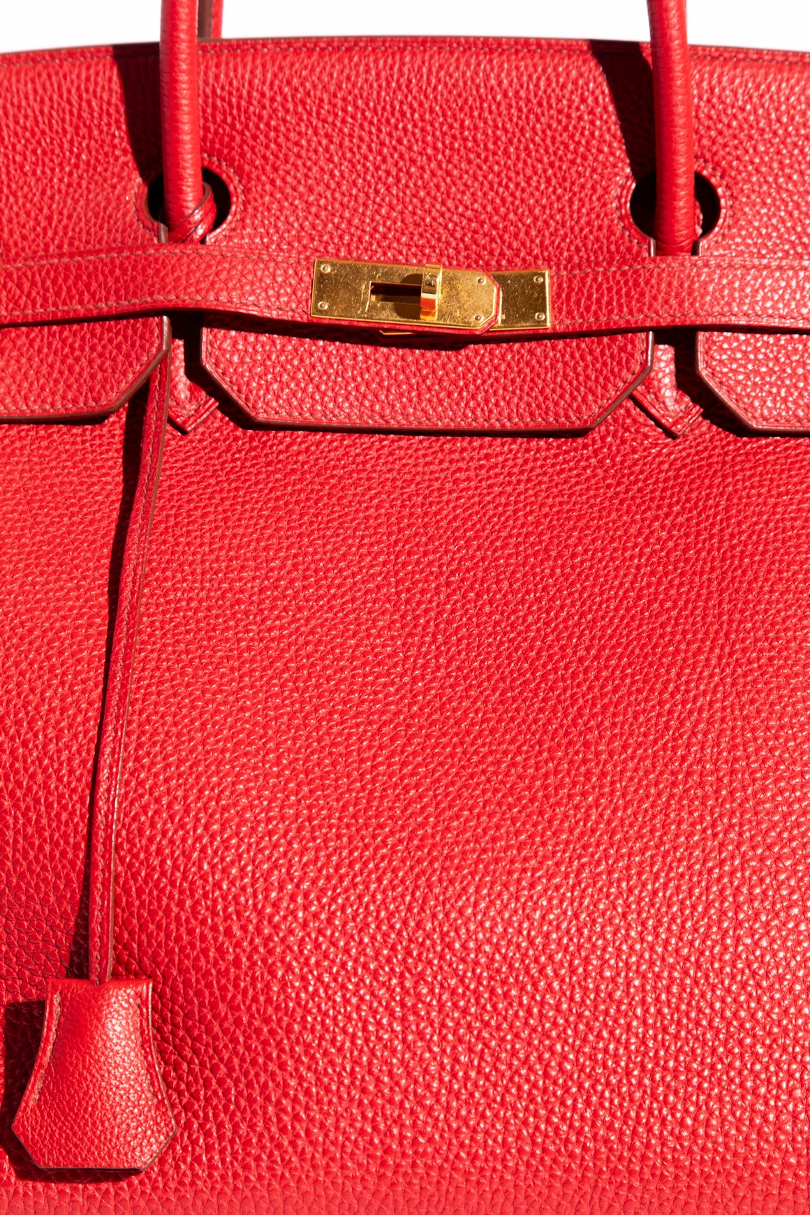 HERMES 2009 Bougainville Togo Birkin 40