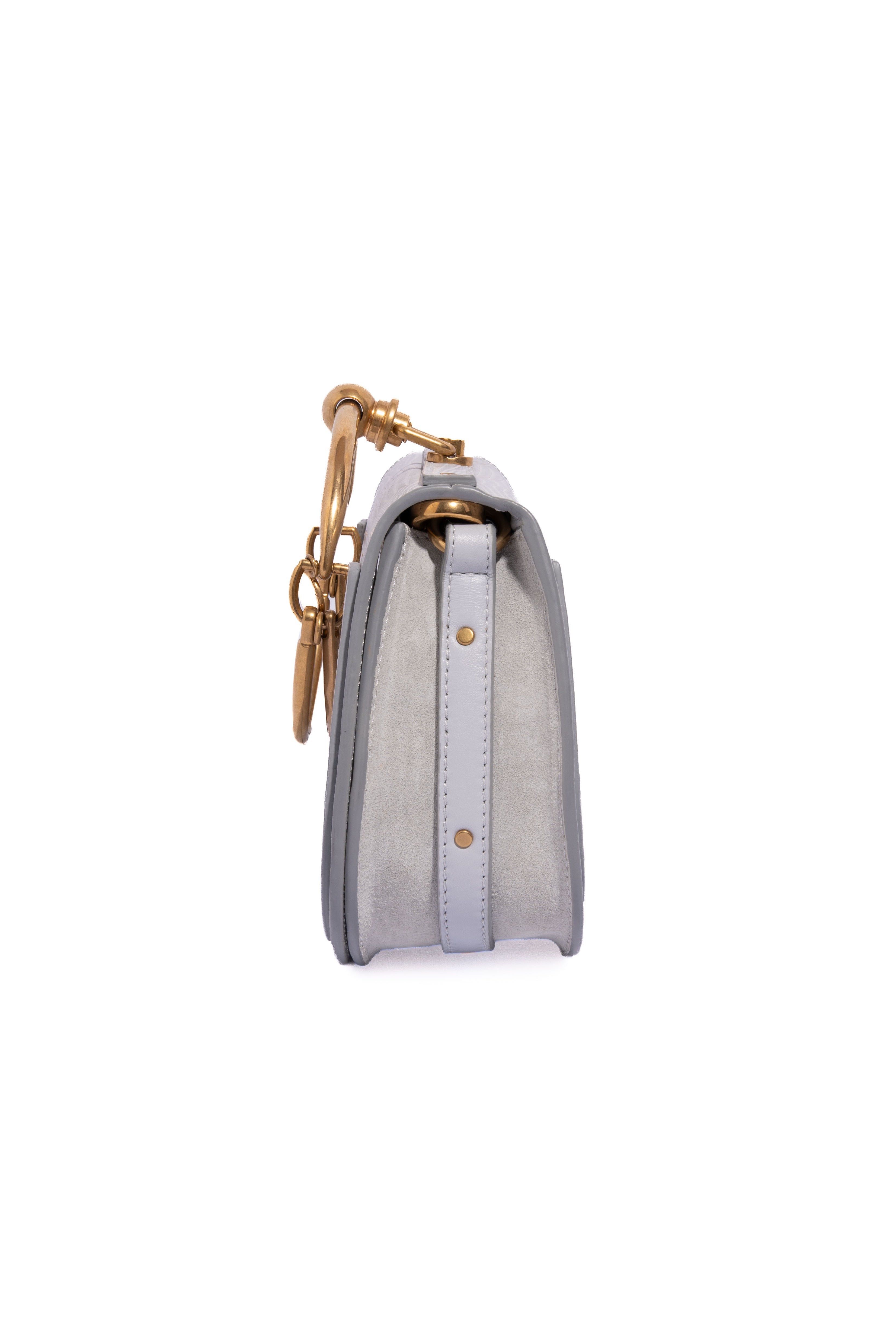 CHLOE Grey Snake Emboss Nile Bracelet Bag
