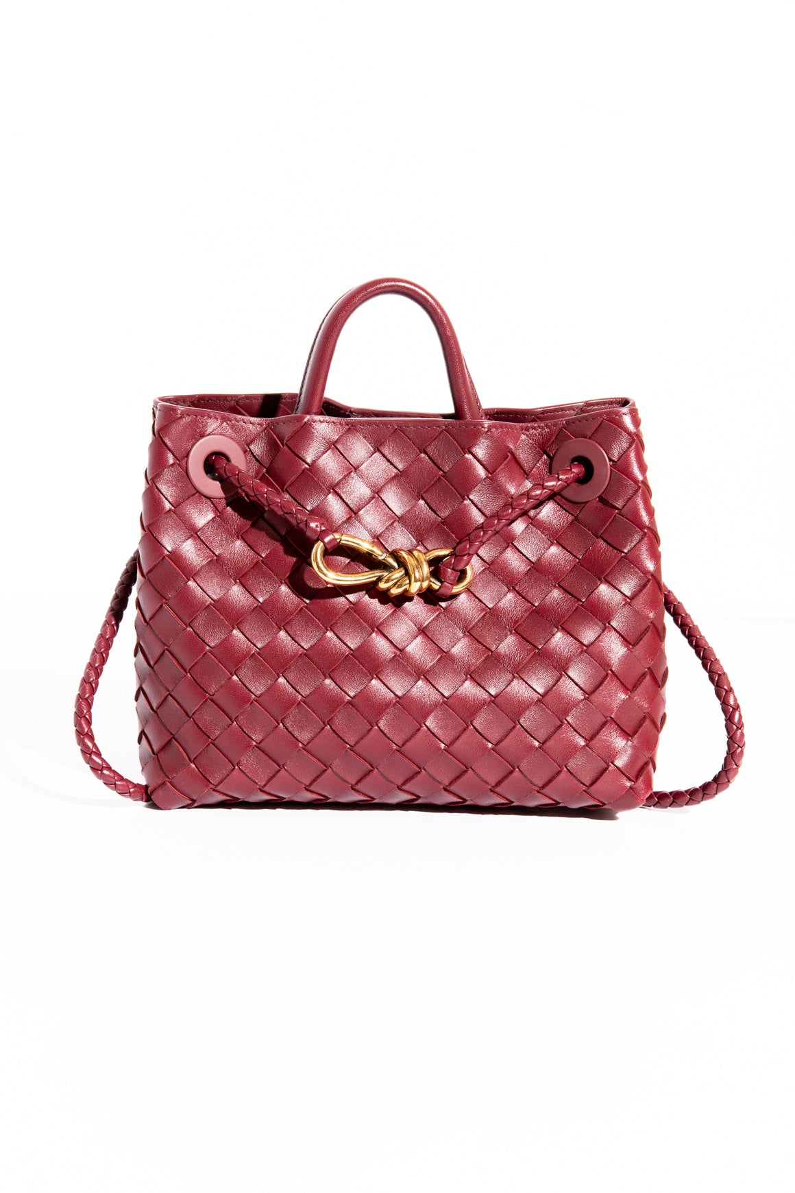 BOTTEGA VENETA Barolo Small Andiamo Bag