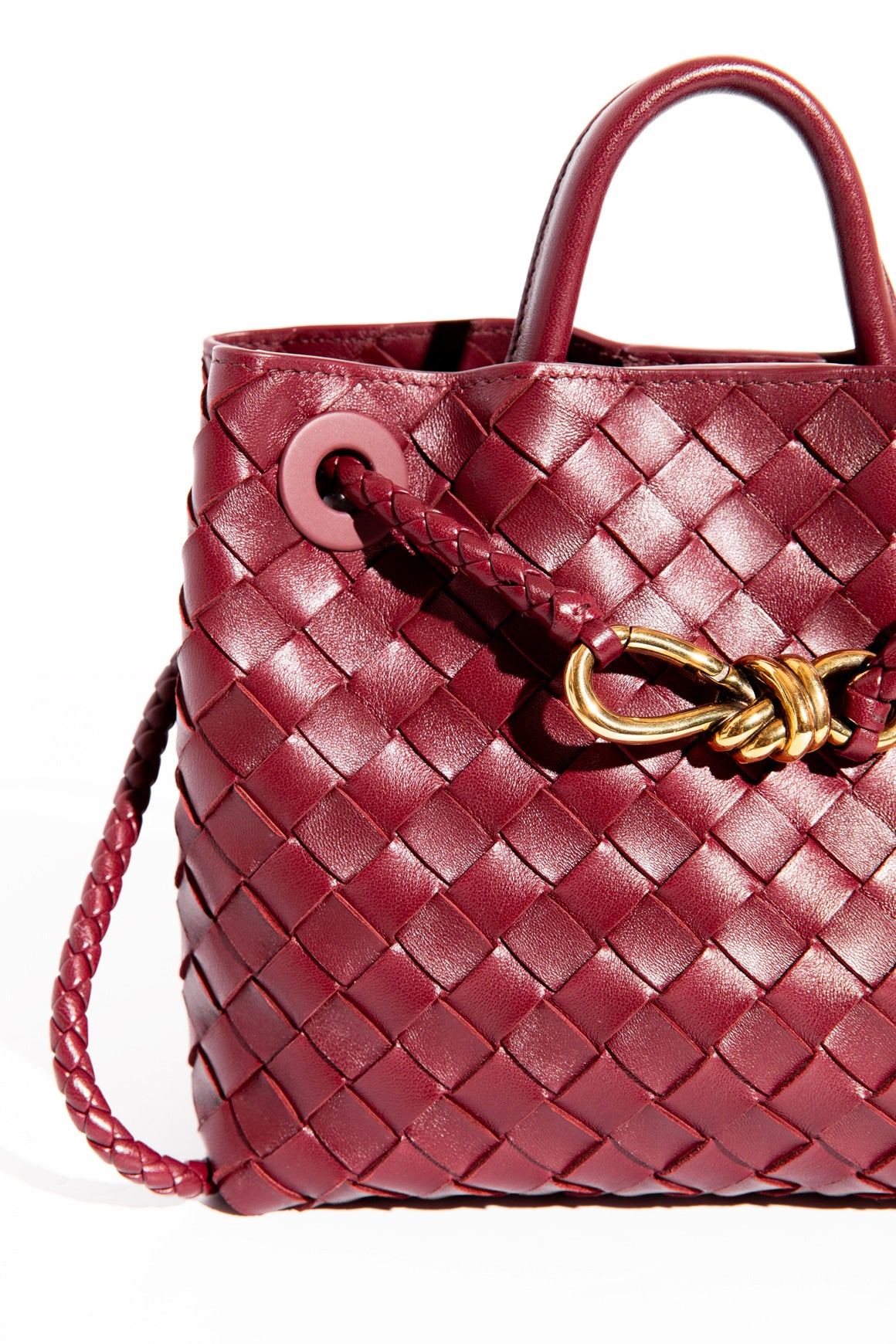 BOTTEGA VENETA Barolo Small Andiamo Bag