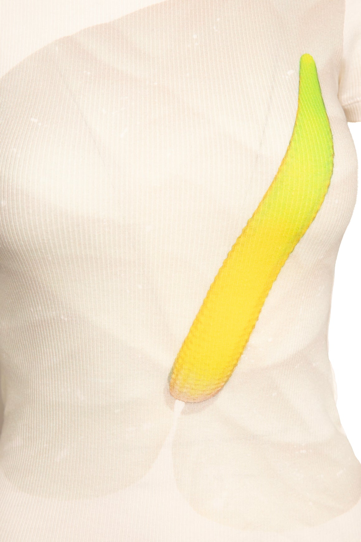 LOEWE Floral Print Tee Shirt (Sz. XS)