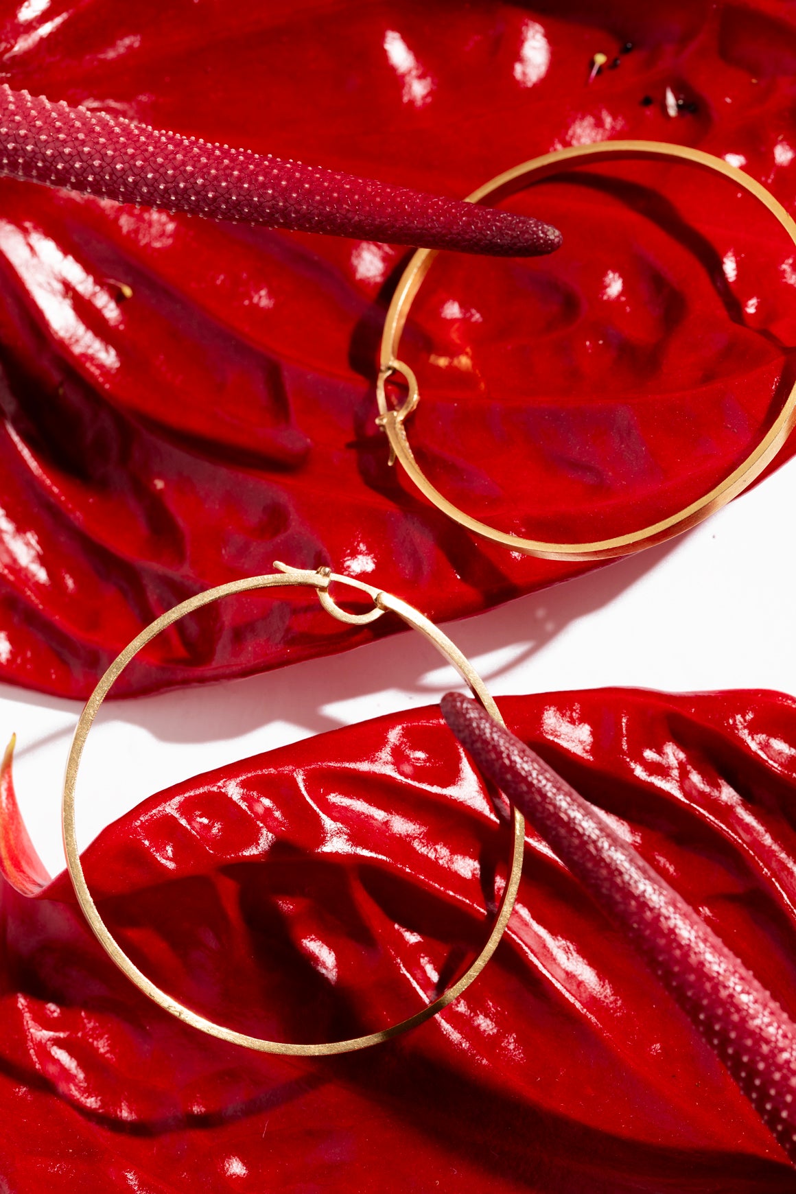 14K Large Gold Hoops W/ Diamonds