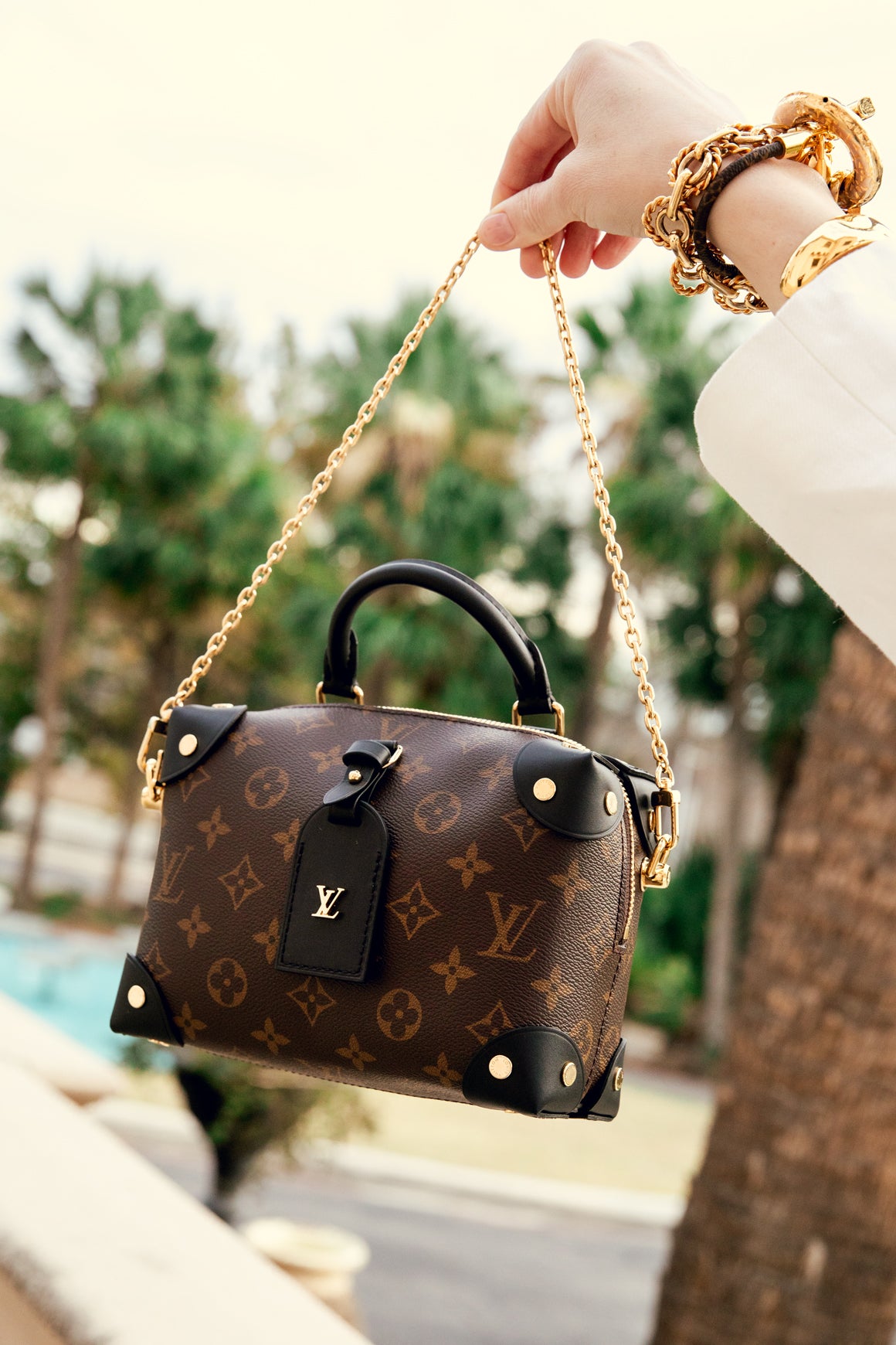 LOUIS VUITTON Monogram Petit Malle Souple Bag