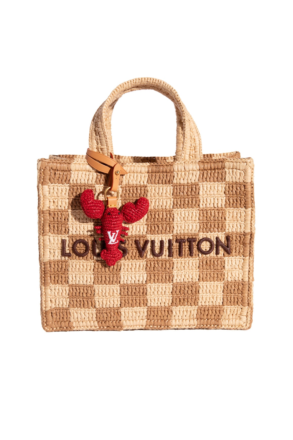 LOUIS VUITTON Mini Raffia Tote in Damier