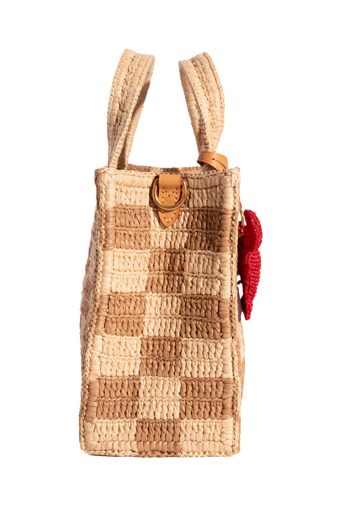 LOUIS VUITTON Mini Raffia Tote in Damier