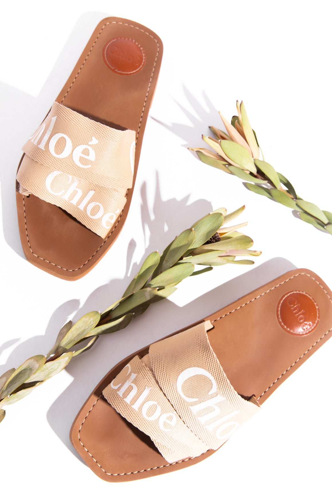 CHLOE Beige "Woody" Mules (Sz. 39)